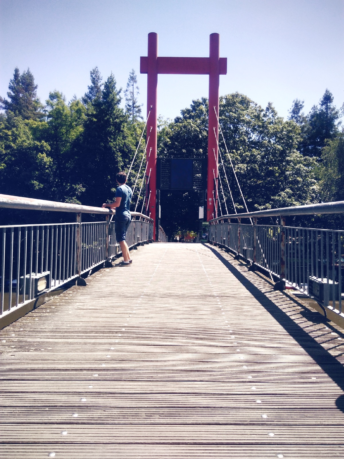 2017-02-09-11-45-16-0041