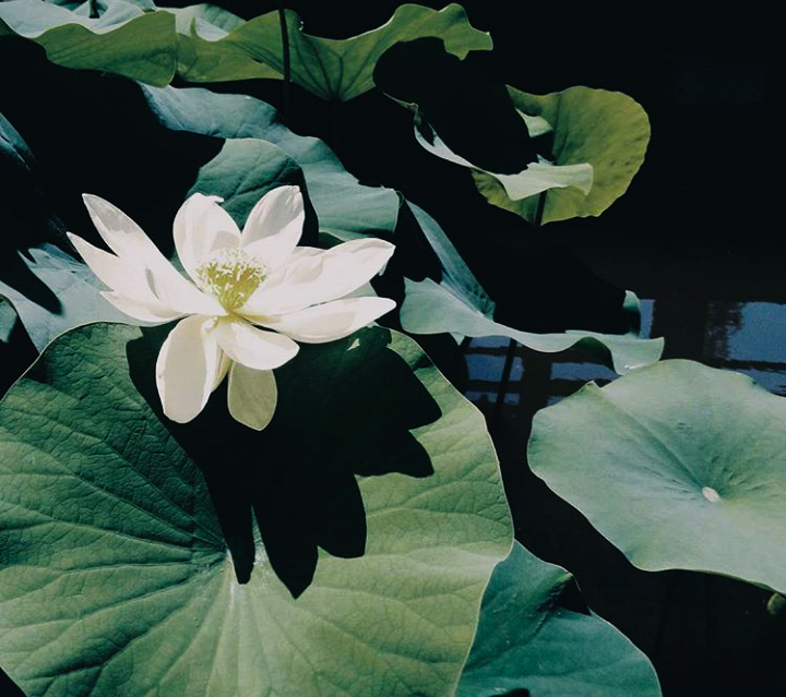 lrm_export_20170214_161534