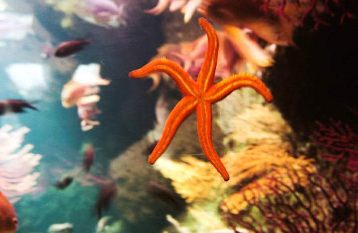 LRM_EXPORT_20170327_095532[1]