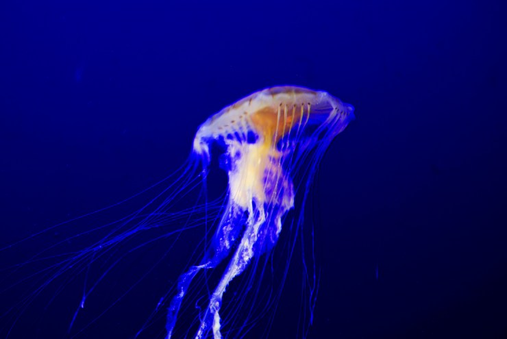 LRM_EXPORT_20170327_101319[1]