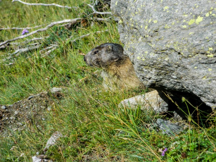 LRM_EXPORT_20170823_133733